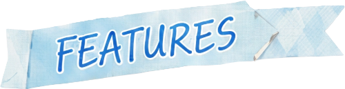 FEATURES